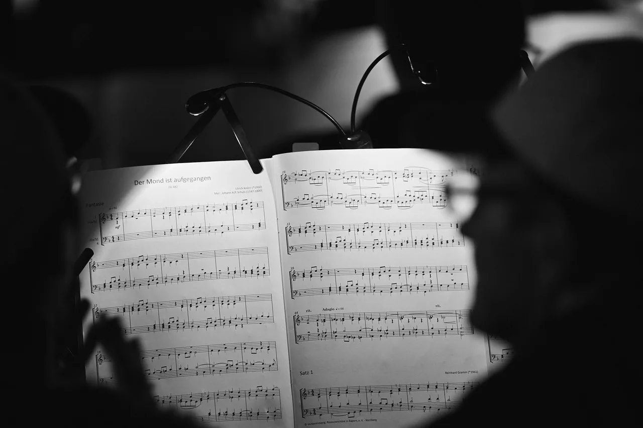 Temsili görsel: TikTok'tan müzik yeteneklerine destek projesi