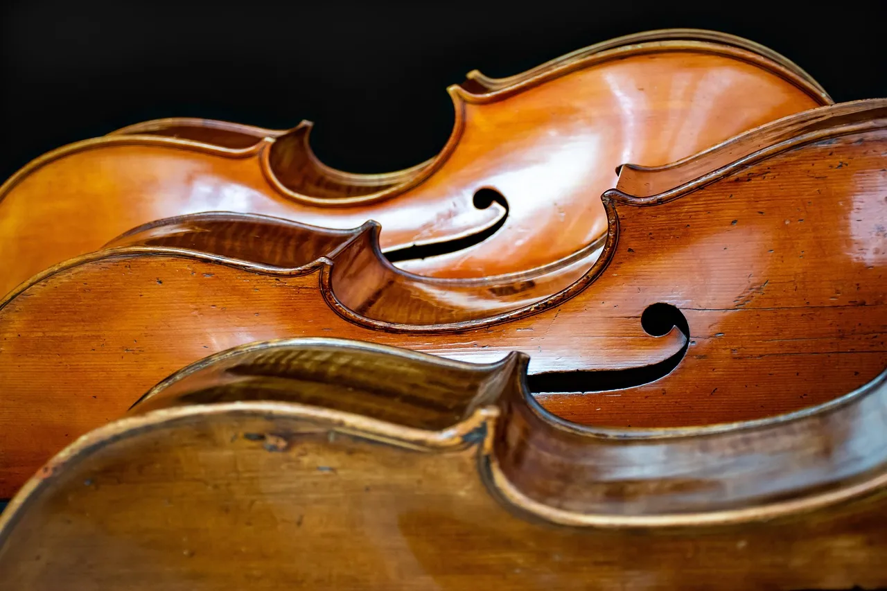 Temsili görsel: Harry Potter ve Ateş Kadehi canlı orkestra ile sahnede