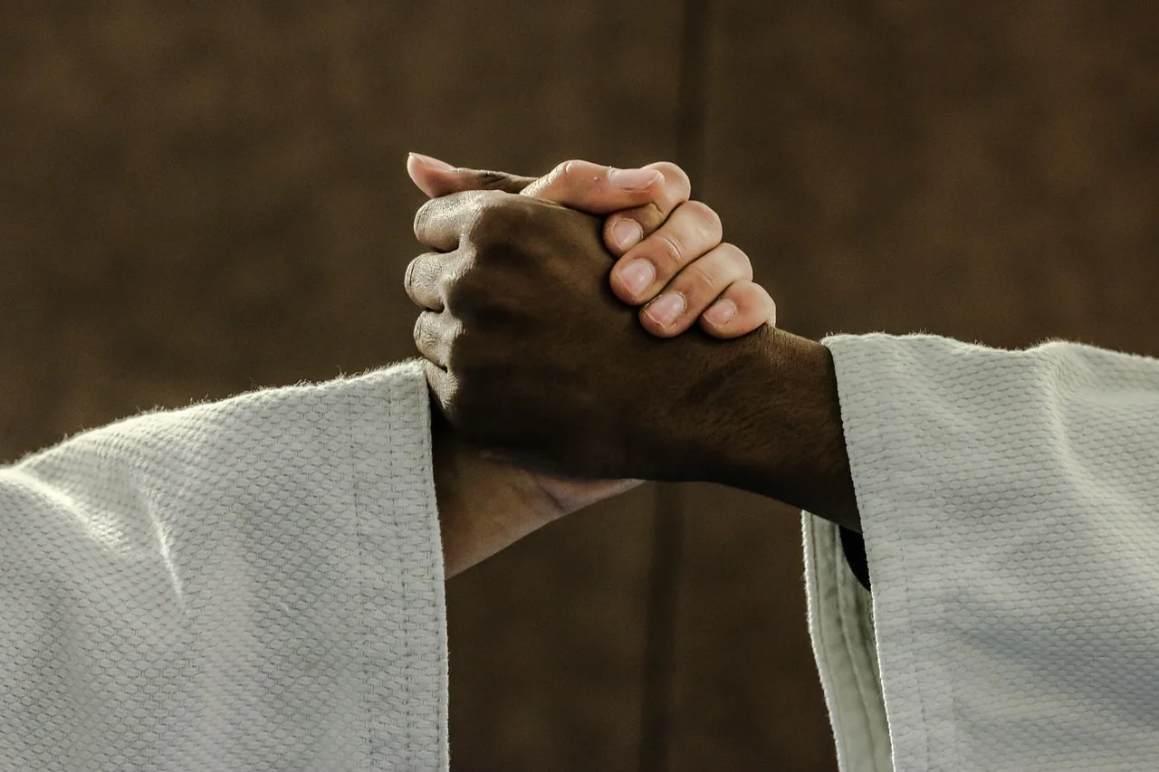 Temsili görsel: Judo Sporcusu Haticenur Göktaş Milli Takıma Seçildi