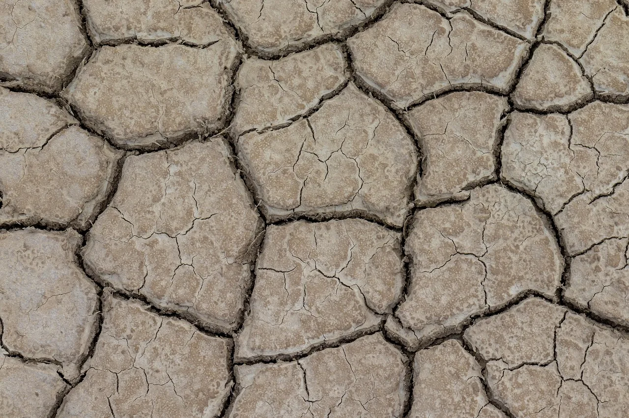 Temsili görsel: Avrupa'da kuruyan nehirler sanayi ve enerji üretimini vurdu