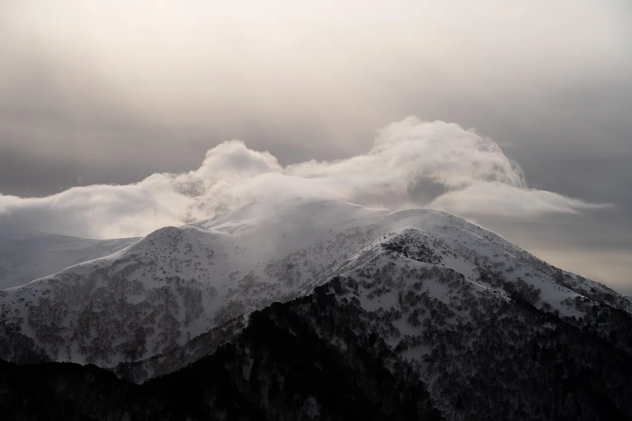 Temsili görsel: Sarıkamış'ta mevsimsel renk değişimi