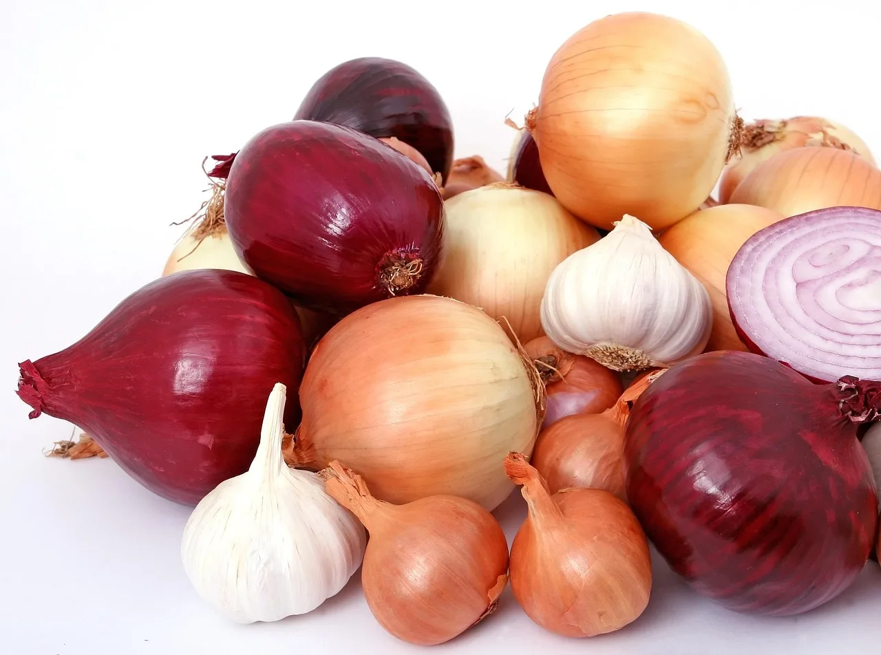 Temsili görsel: MasterChef Türkiye'de Karadeniz Mutfağı Heyecanı