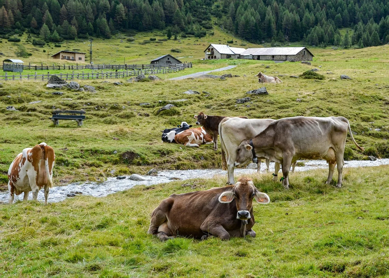Temsili görsel: Trabzon'da Yavuz Selim Sahası sentetik zemine kavuşuyor