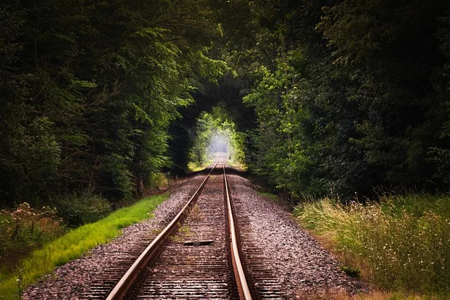 Temsili görsel: Avrupa'nın Zanaat Merkezlerine Tren Yolculuğu