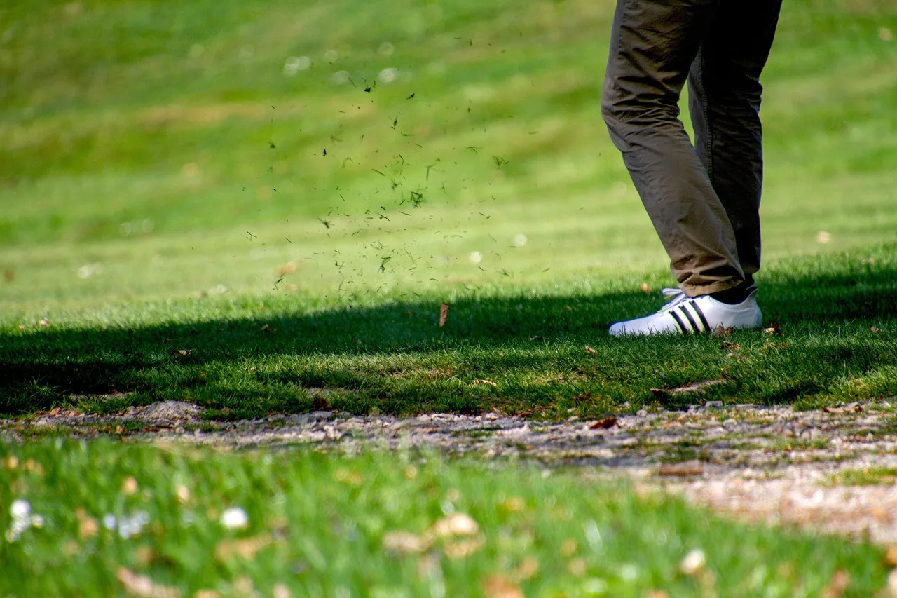 Temsili görsel: Tanzanya Serengeti'de Uluslararası Golf Sahası Açıldı