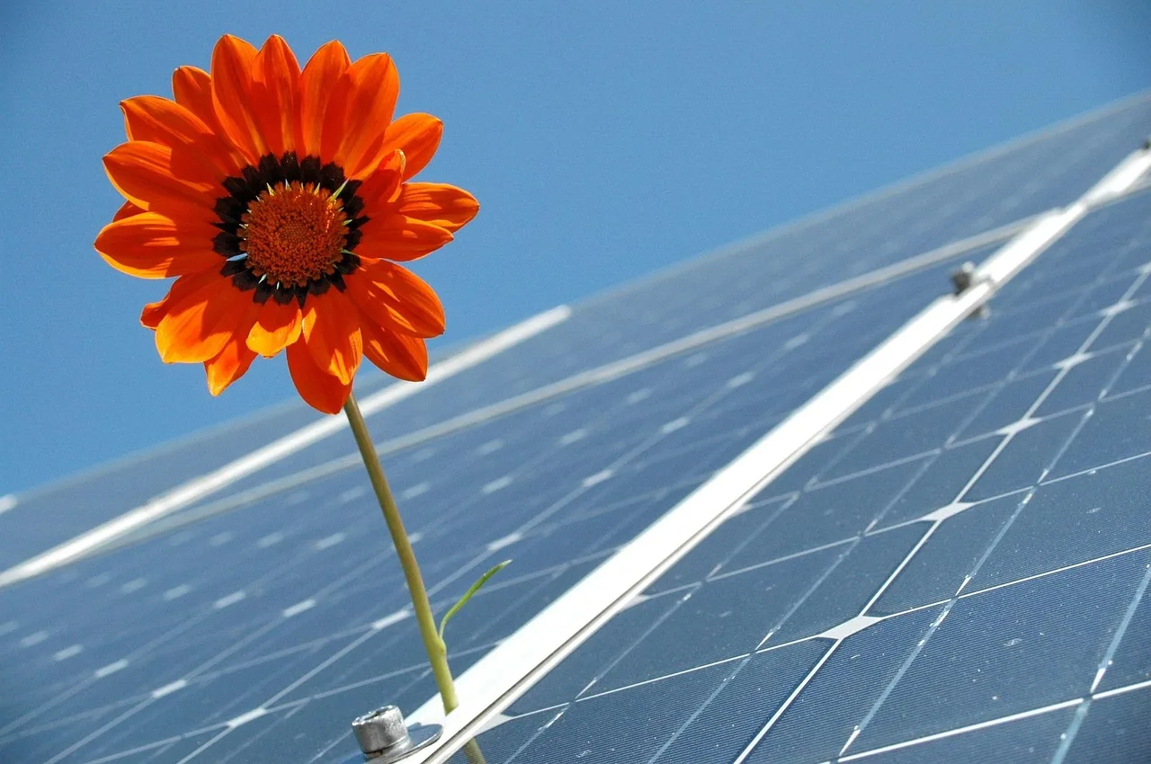Temsili görsel: Kalyon PV'den ABD'de Güneş Enerjisi Yatırımı