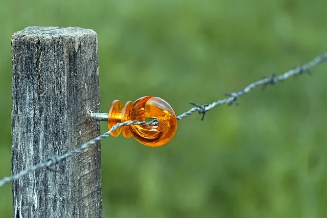 Temsili görsel: Türkiye Plastik Atık Çalıştayı İstanbul'da Başladı