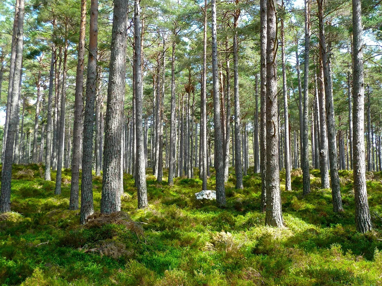 Temsili görsel: Plastik Üretimi 2050'de 1,1 Milyar Tonu Geçecek