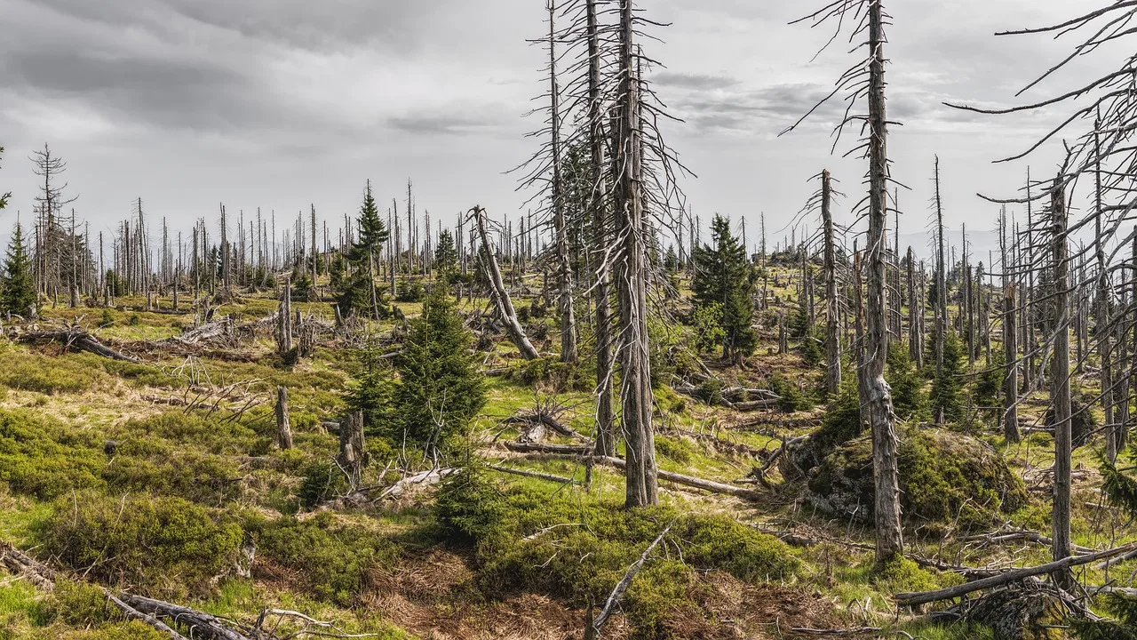 Temsili görsel: Lübnan'daki saldırılarda can kaybı 4 bin 320'ye yükseldi