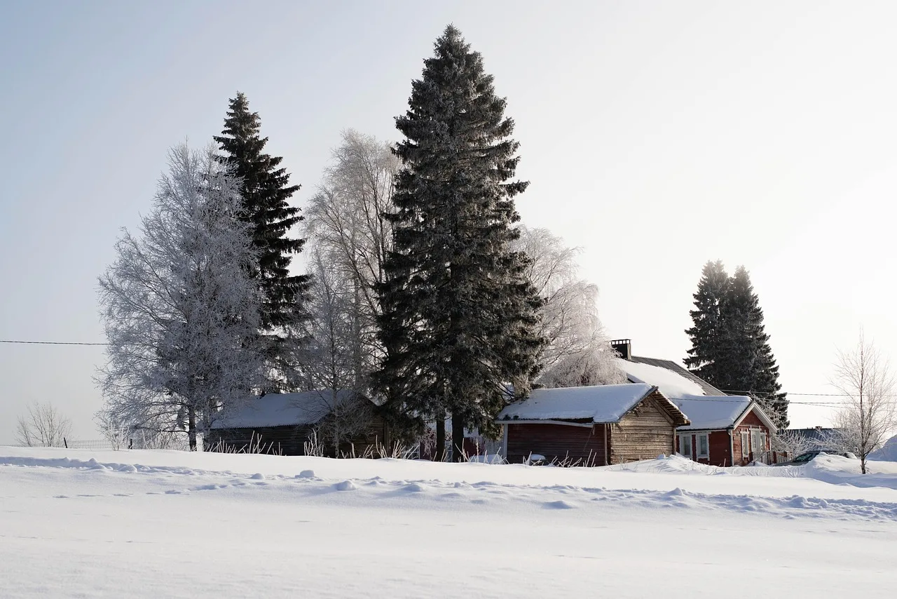 Temsili görsel: Finlandiya'da 33 gün süren altın avı tamamlandı
