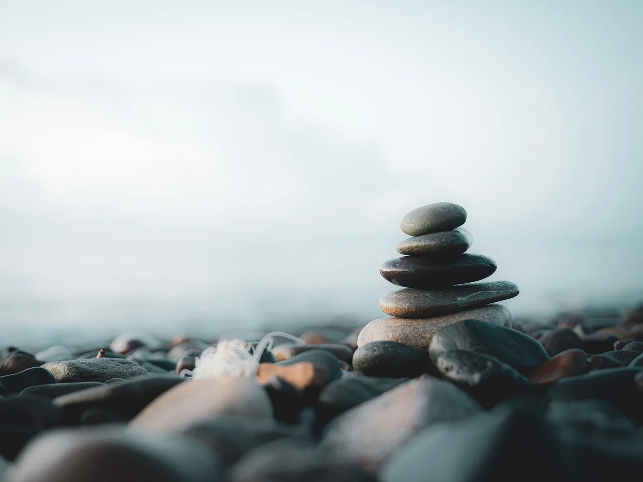 Temsili görsel: Tai chi ve qigong kanser sonrası yaşam kalitesini artırıyor