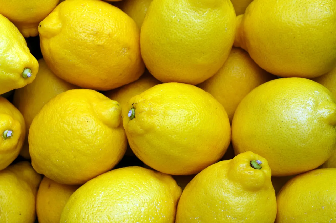 Temsili görsel: Adana'da limon üreticisi yüksek rekolteye rağmen alıcı bekliyor