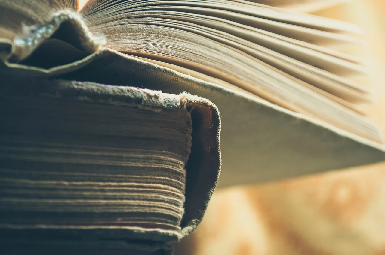 Temsili görsel: Anthropic'in yapay zeka eğitimi için kitapları imha ettiği ortaya çıktı