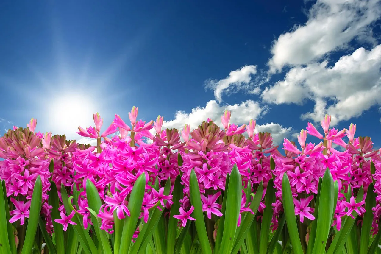 Temsili görsel: Türk Askerinin Suriye ve Irak'taki Varlığı Yeniden Değerlendirilecek