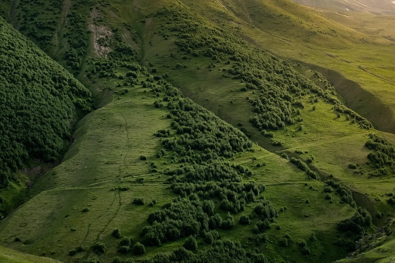 Temsili görsel: Kars'ta yayla sezonu başladı: Üreticiler destek bekliyor