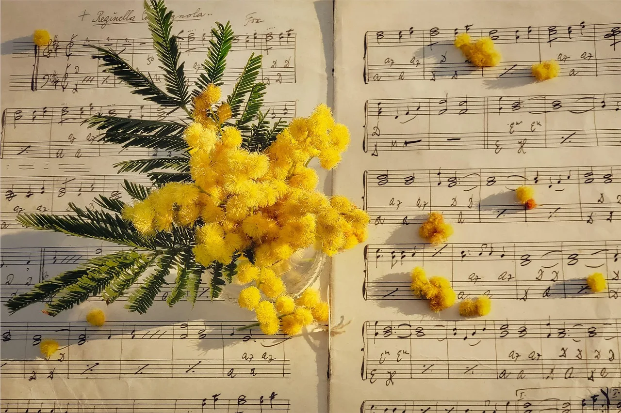 Temsili görsel: Müzik dinlemenin demans riskini düşürdüğü ortaya çıktı