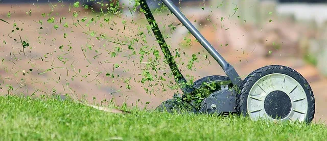 Temsili görsel: İstanbul'da usulsüz vatandaşlık operasyonu: 73 gözaltı