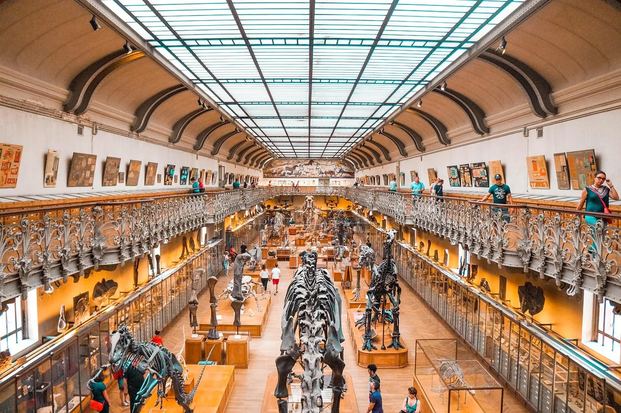 Temsili görsel: Tayland'da 150 milyon yıllık yeni dinozor türü bulundu