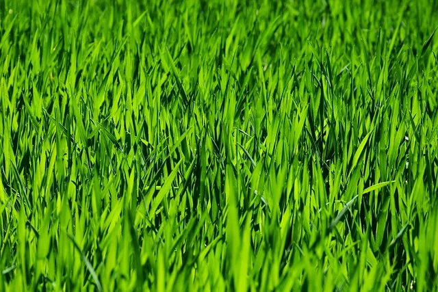Temsili görsel: Medine'deki elektrik tesisine saldırı iddiası bölgede gerilimi tırmandırdı