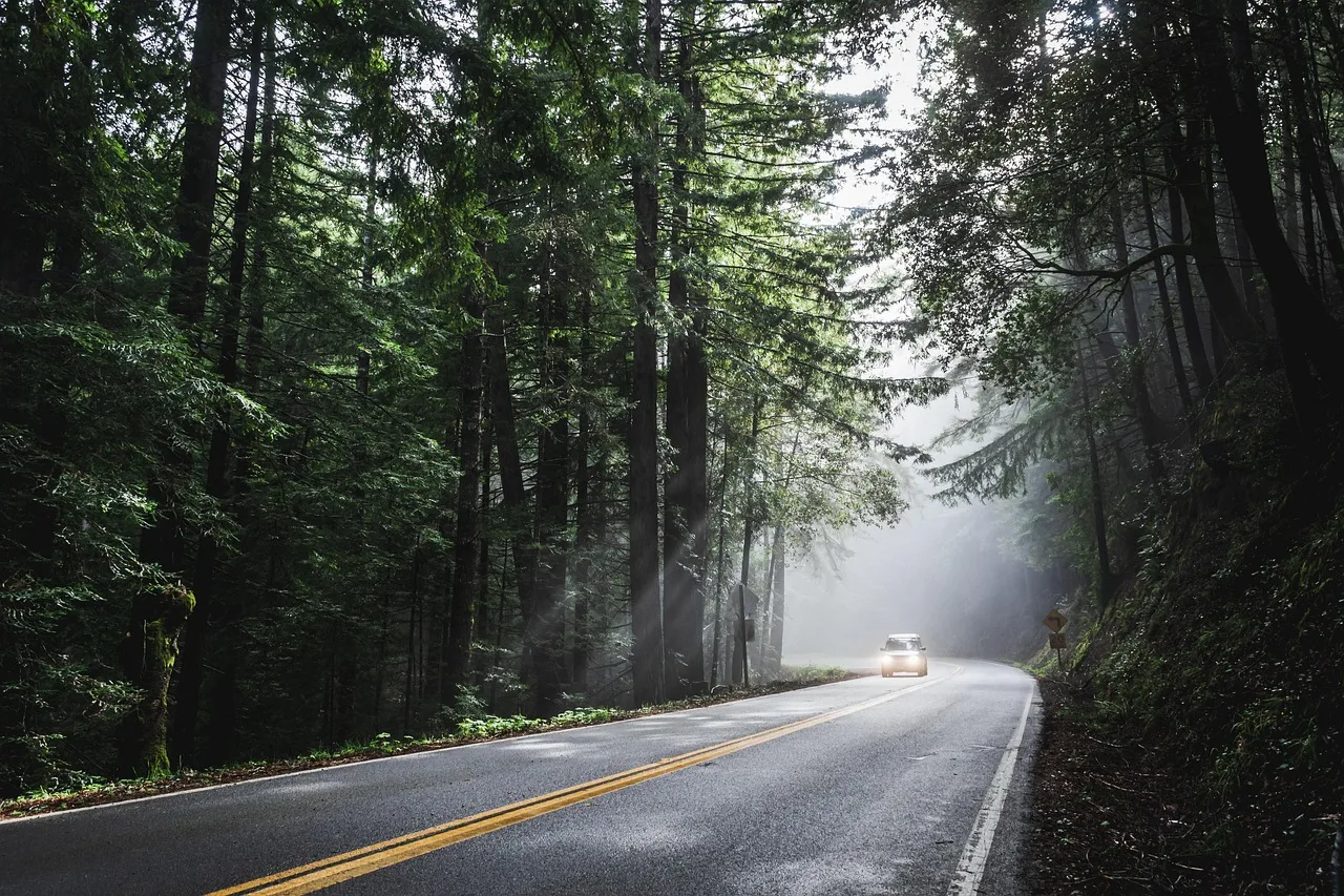 Temsili görsel: Alanya'da safari aracı şarampole devrildi: 11 yaralı