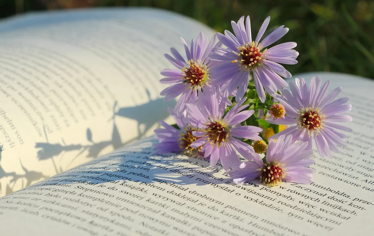 Temsili görsel: Yayınevlerinden yeni kitap seçkisi