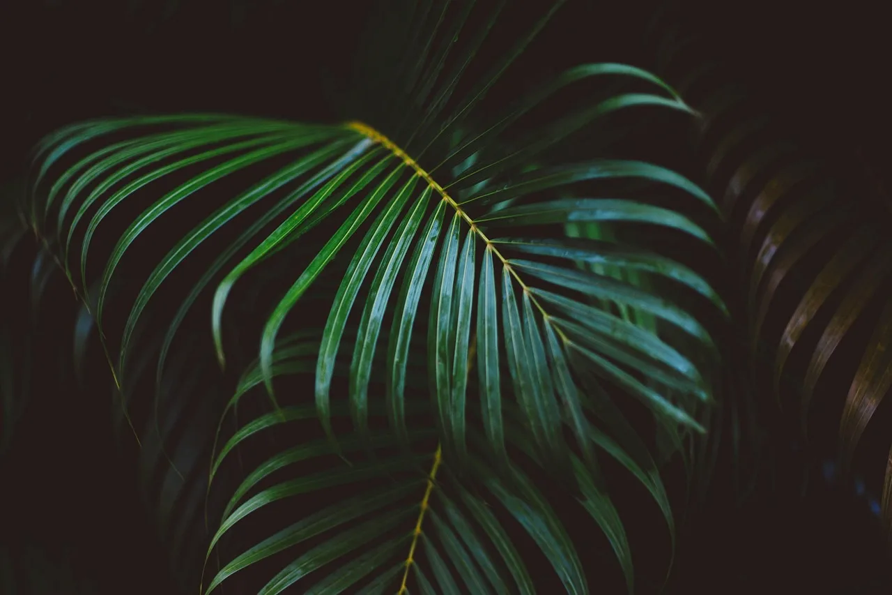 f04703956f0f03686df6e8bc00c776fd3aca77c84b1c159b62ad1bc62ce02ab2.webp