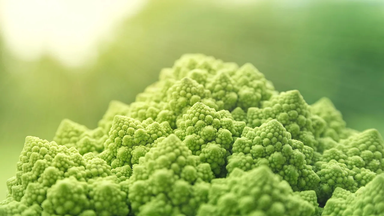 Temsili görsel: Çermikli esnaftan sağlık çalışanlarına anlamlı destek