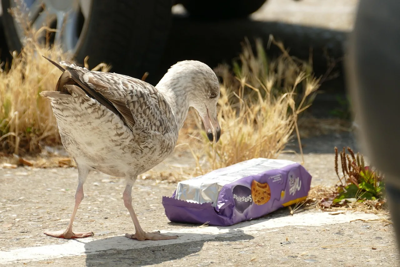 İnsan atardamarlarında mikroplastik izleri bulundu İnsan atardamarlarında mikroplastik izleri bulundu