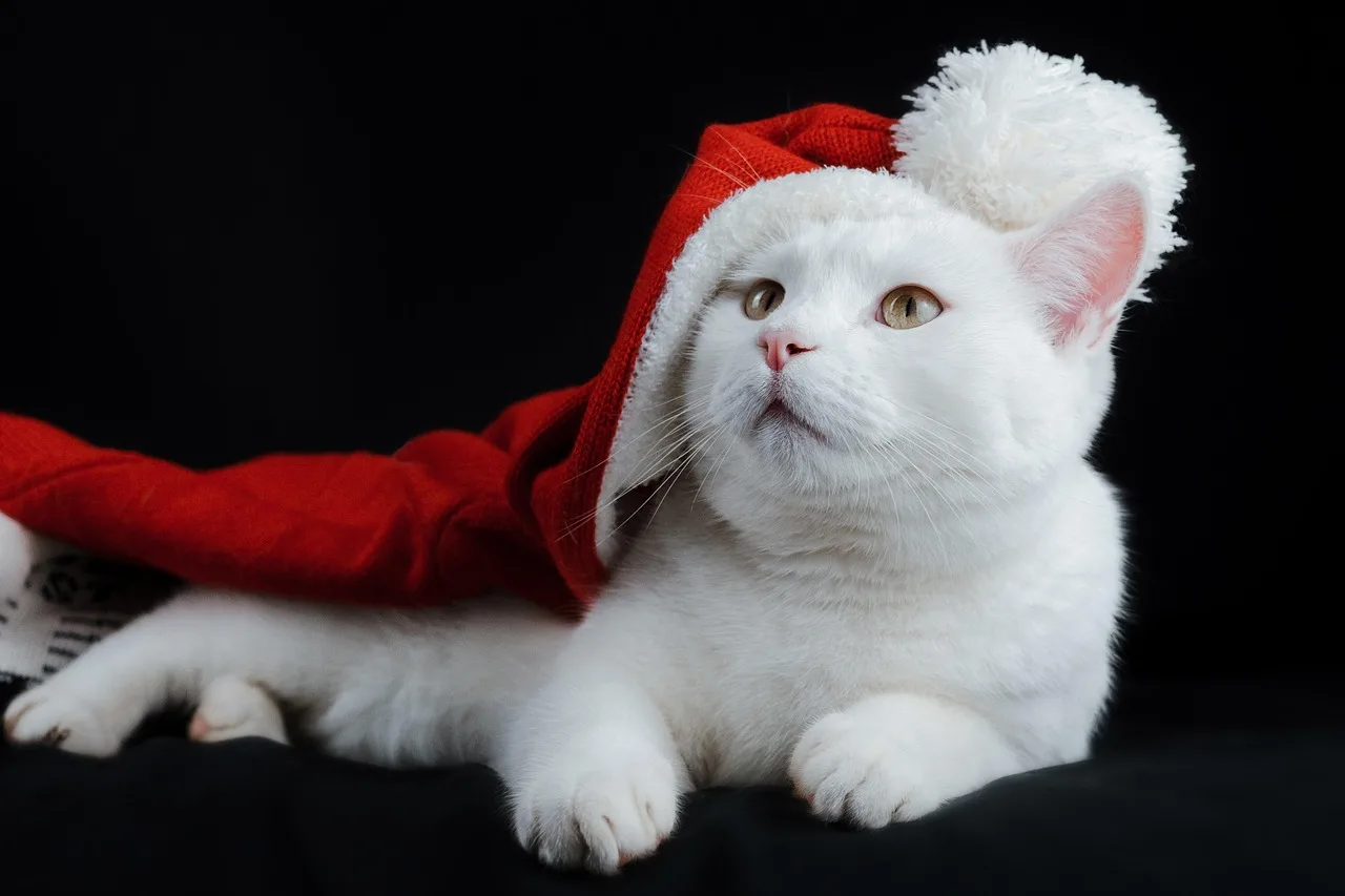 Temsili görsel: Dünya Noel Baba Kongresi Danimarka'da toplandı